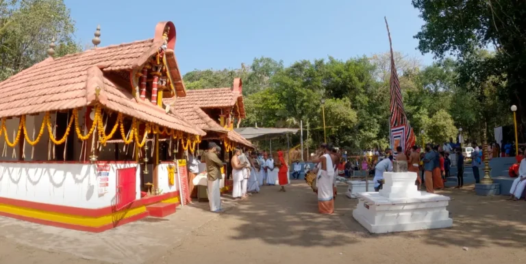 Kaavukal Sacred Groves of Kerala